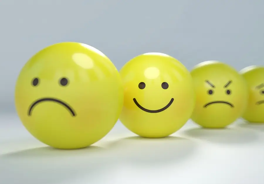 Emotional Intelligence